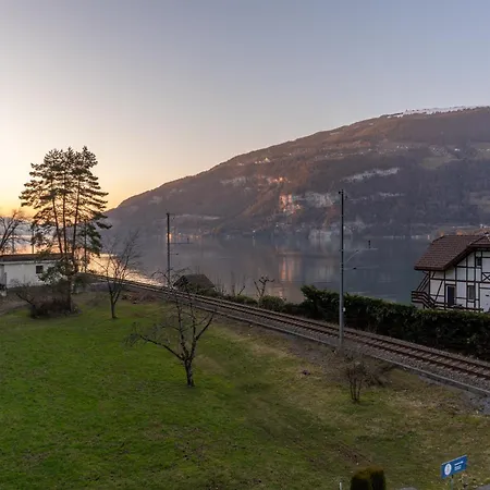 Surfers Near Interlaken, At With Pool